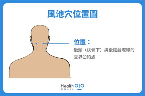 風是穴|風池穴位置超好找，壓制頭痛、水腫、失眠方法全公。